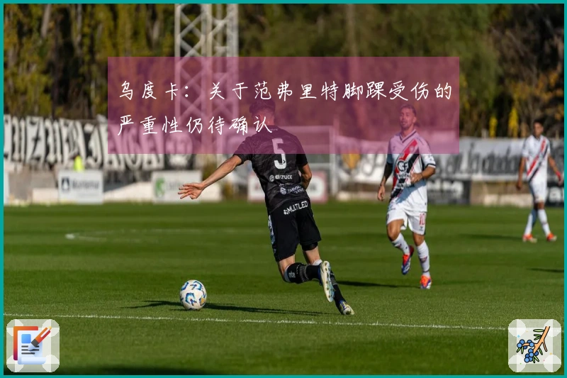 乌度卡：关于范弗里特脚踝受伤的严重性仍待确认