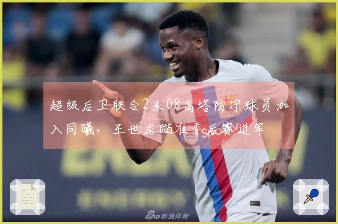 超级后卫联合2米08高塔防守球员加入同曦，王世龙瞄准季后赛进军