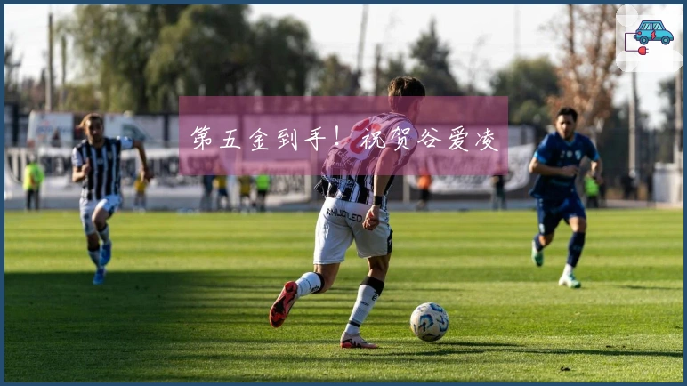 第五金到手！祝贺谷爱凌